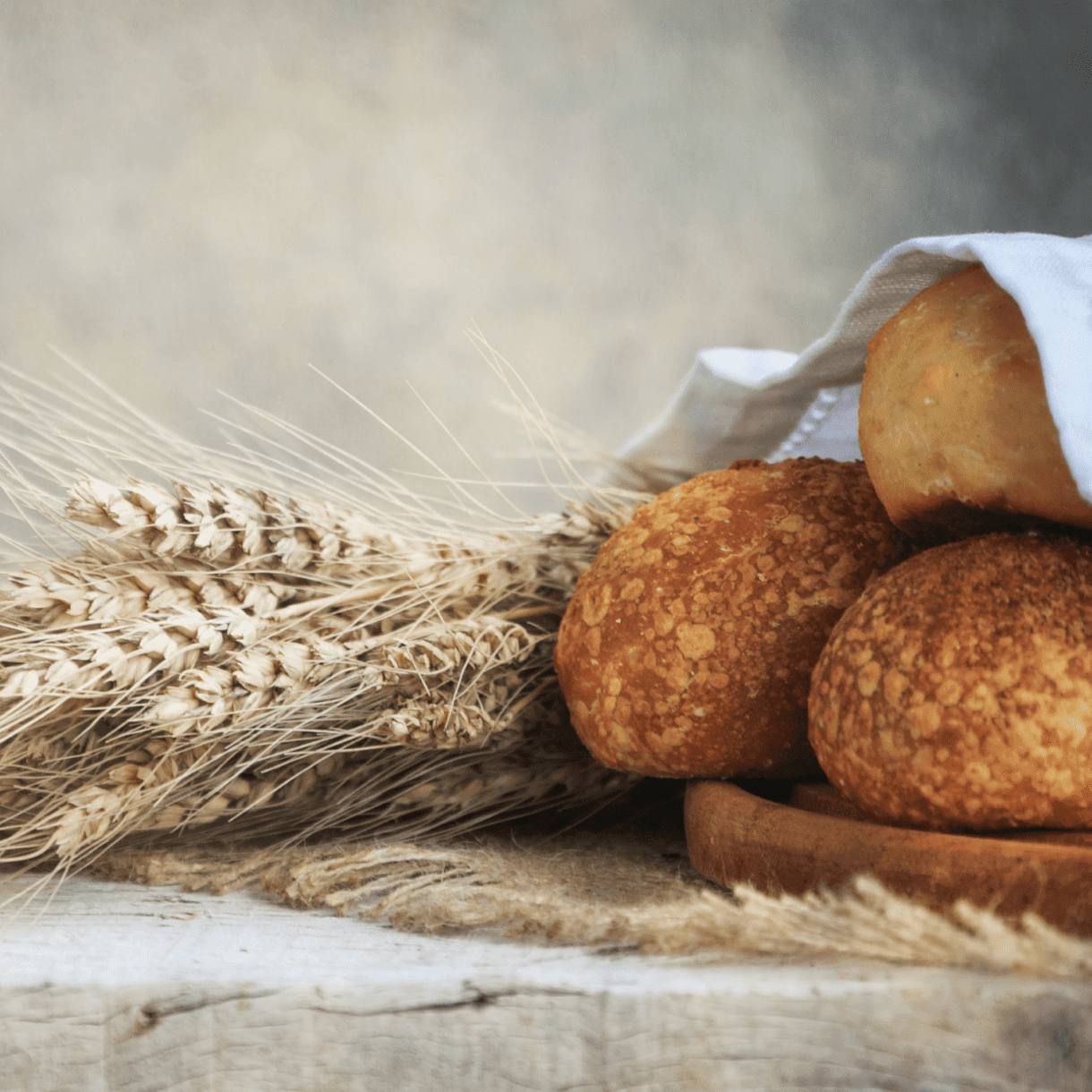 פרס מחלקת עם רשתות – תמונה 3