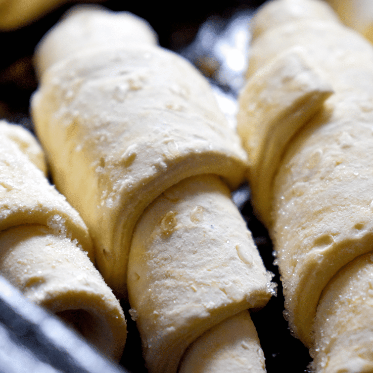 ריטרדר פרופר | Panem – תמונה 3